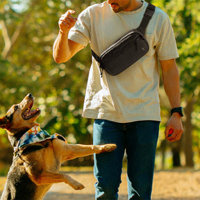 Aviator-T33 Chest Bag 2.5L