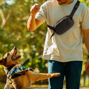 Aviator-T33 Chest Bag 1.5L